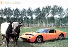 Lamborghini Miura 1966 - 1973