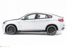 BMW X6 E71 2008 - 2009