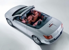 Renault Megane CC Coupe Convertible 2003 - 2006