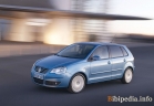 Volkswagen Polo 5 კარები 2005 - 2008