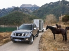 Nissan Navara 2010 წლიდან