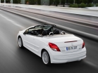 PEUGEOT 207 CC desde 2009