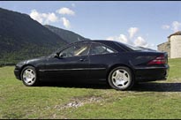 Katta bulochkalar orasiga