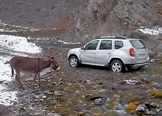 Renault Duster.